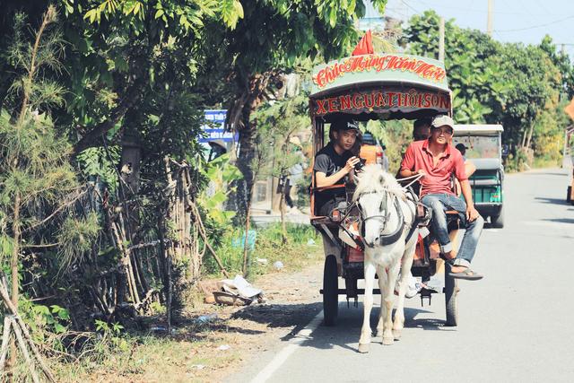 越南的美食美景,越南的美食和美景