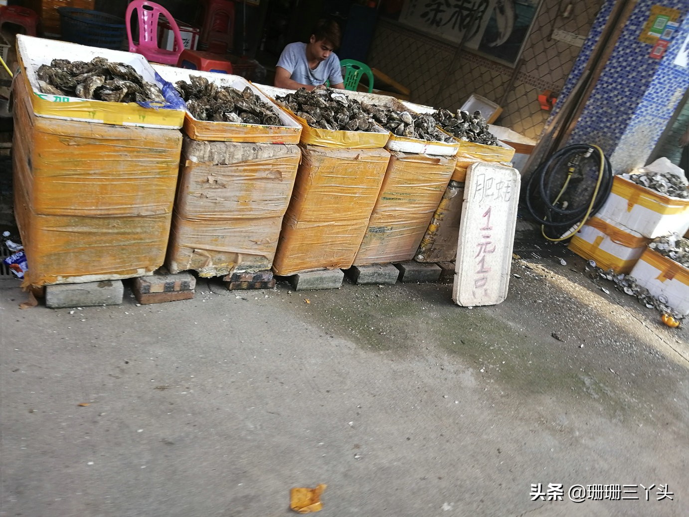 广州最优惠的海鲜市场,广州生蚝批发送货上门