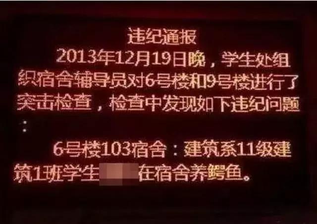 佩奇养猪的视频,佩奇养猪