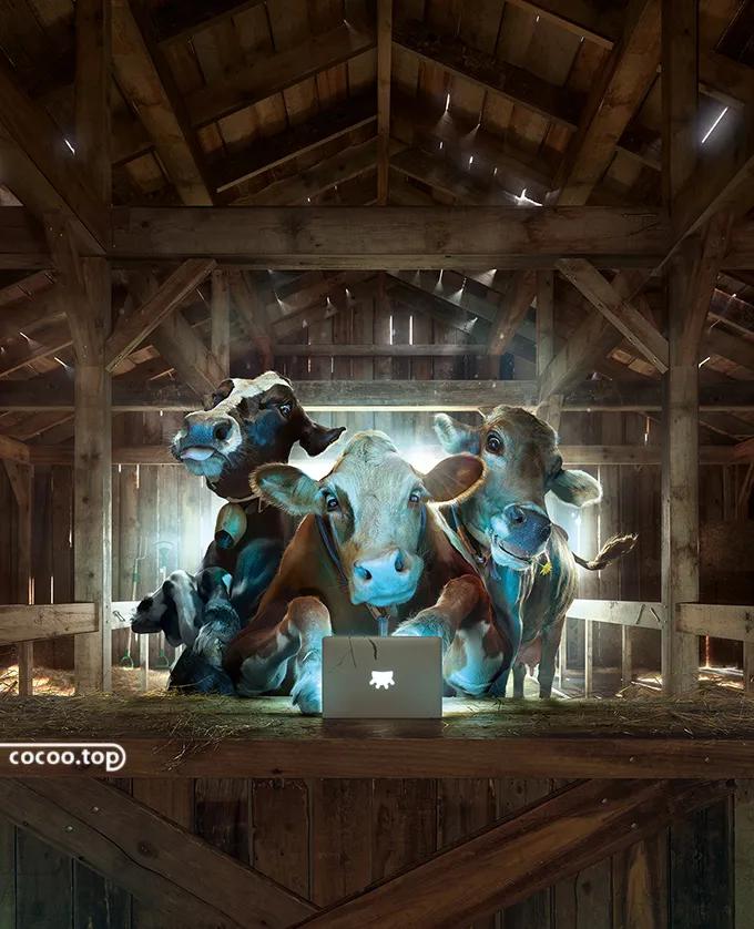 广告语打动人心的句子,打动人心的卖房广告语