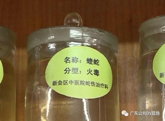 剧毒毒蛇咬伤小孩,要是毒蛇把孩子咬到了怎么处理