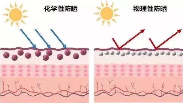 一到夏天就断货？这支水做的防晒液轻薄隐形，西班牙运动队同款！