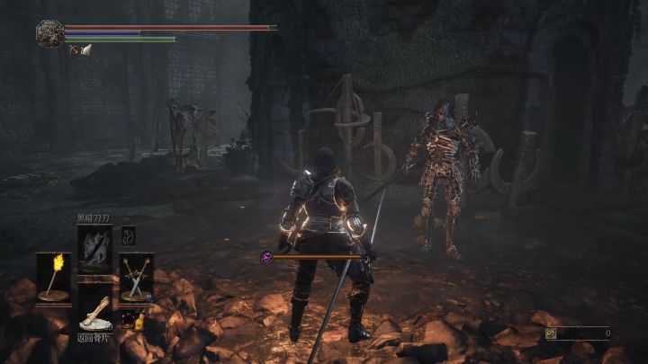 黑暗之魂3法兰不死队剧情,法兰不死队