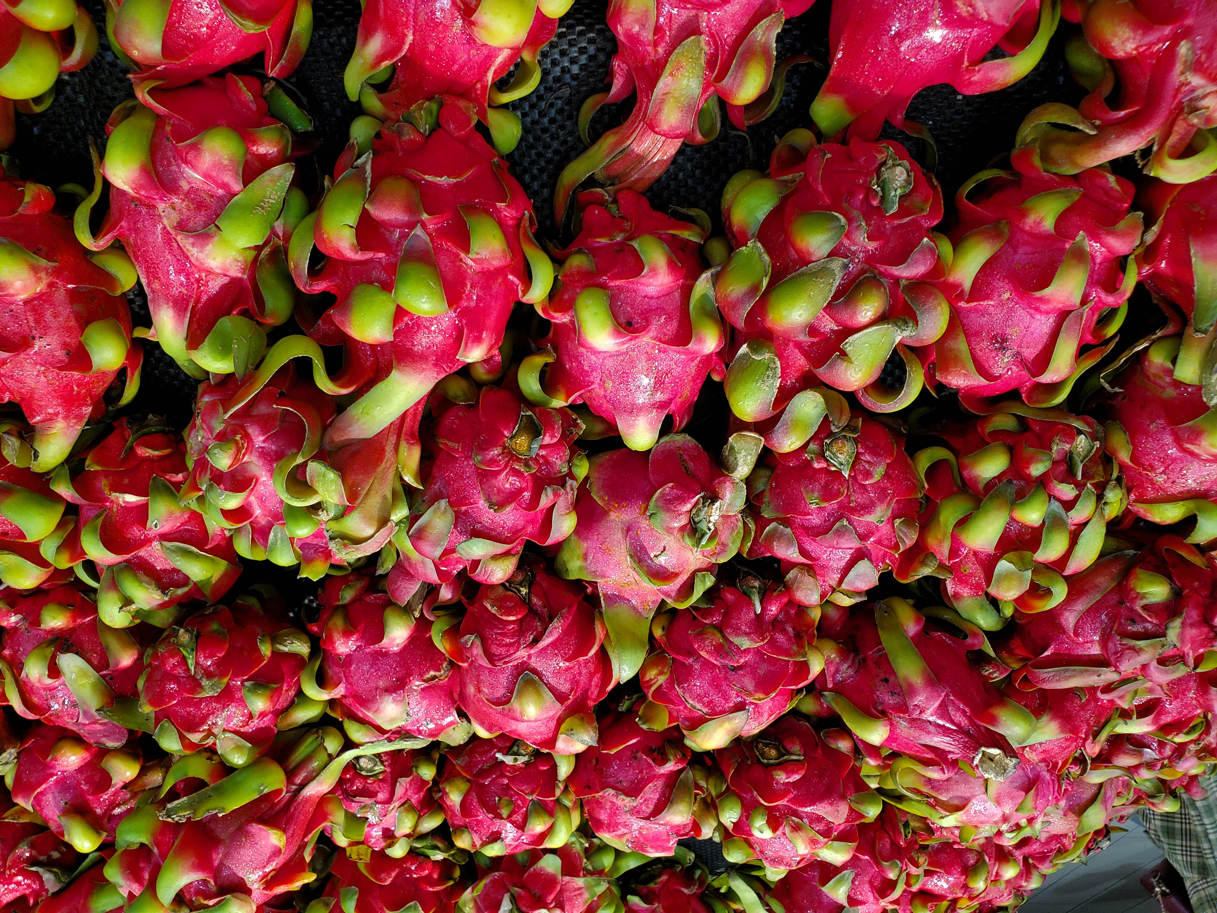 vivoz5手机值得入手吗,vivoz5现在还值得买吗