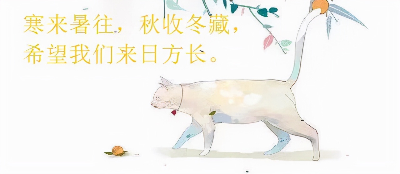 强推6本男女主双豪门强强联姻,6本男女主势均力敌的小说