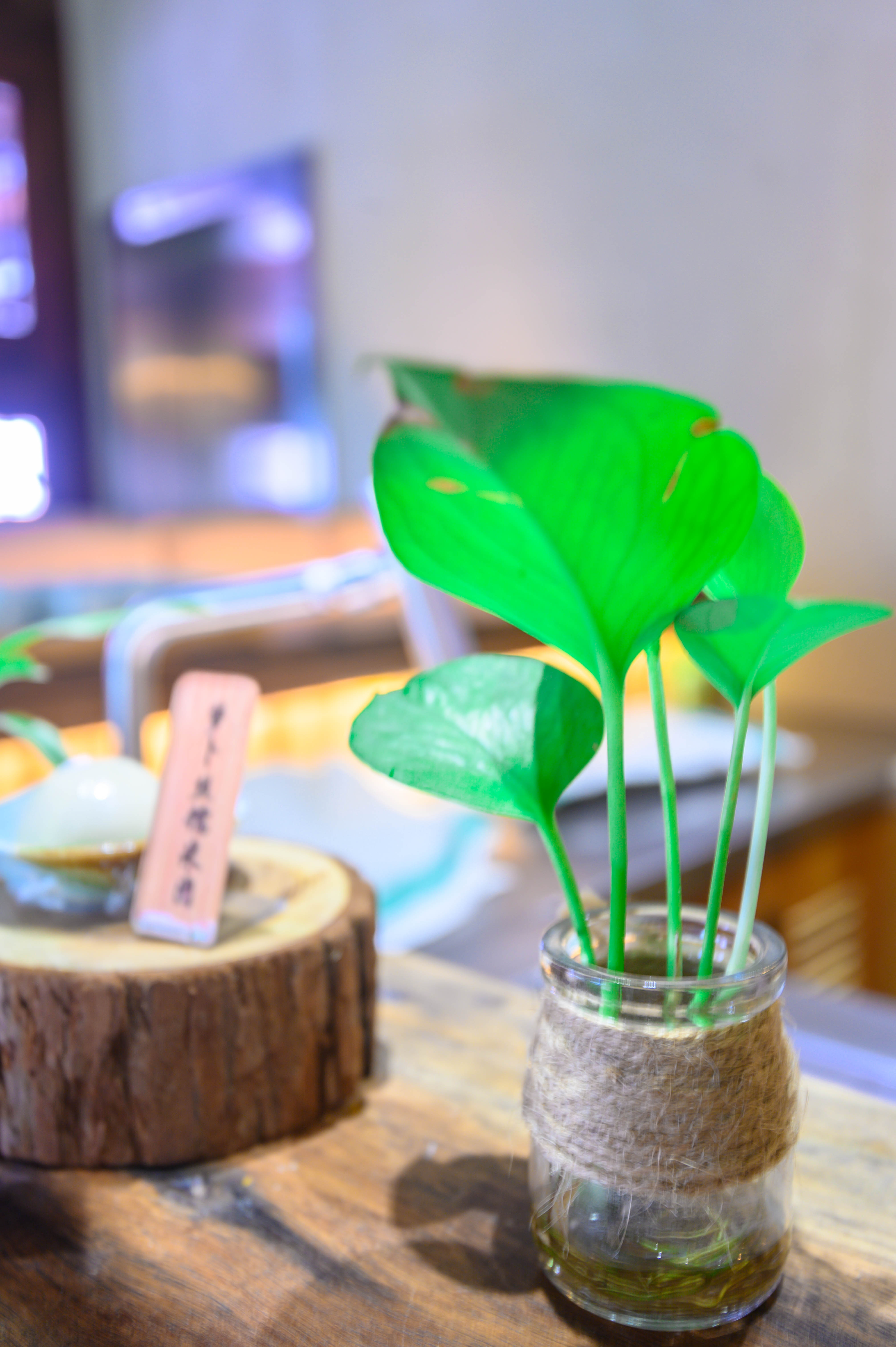 知道乌村吗，孩子来了就不愿离开，住乌村去西栅可以省150元