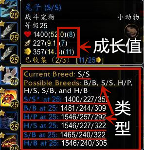 魔兽世界前期带什么宠物,魔兽世界小宠物选什么