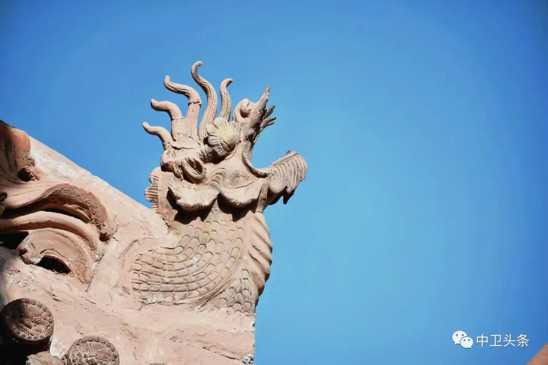 中卫大学生,大学生沙坡头