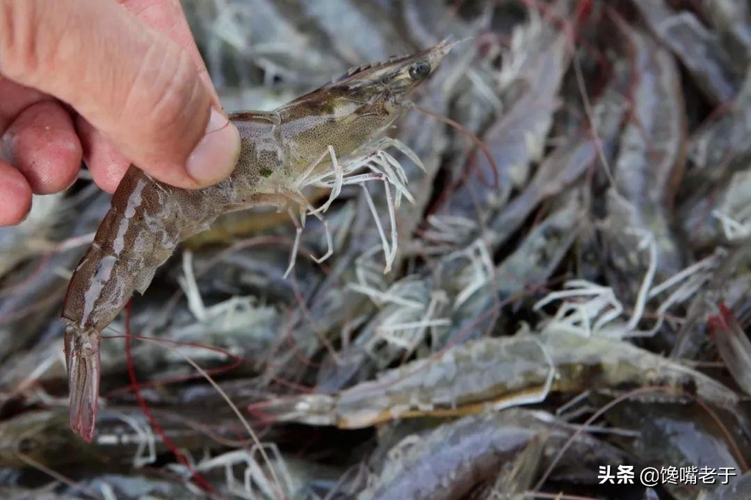 买冰鲜虾是选卷曲的还是直溜的,超市的冰鲜虾一般是什么虾