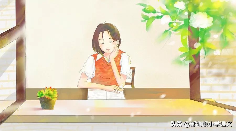 六下数与代数知识点整理,数与代数知识点整理五年级下册