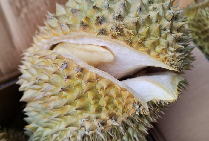 买榴莲要诀,水果店老板告诉你榴莲怎么挑选