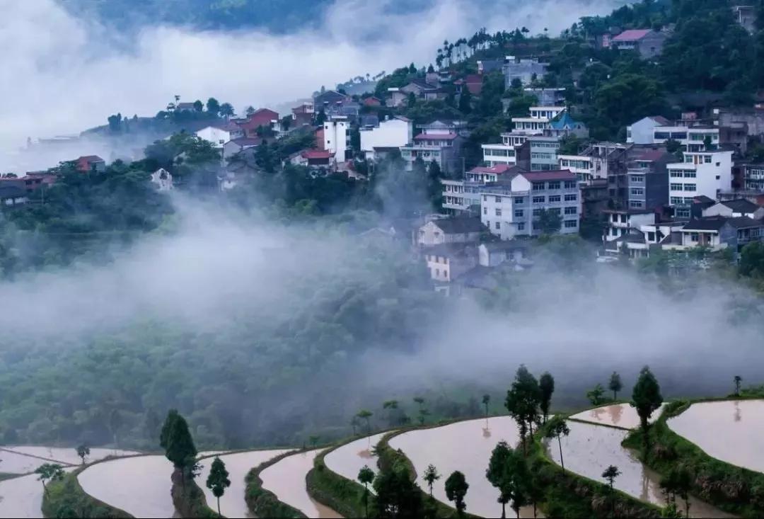 楠溪江山水画,永嘉楠溪江山水画视频