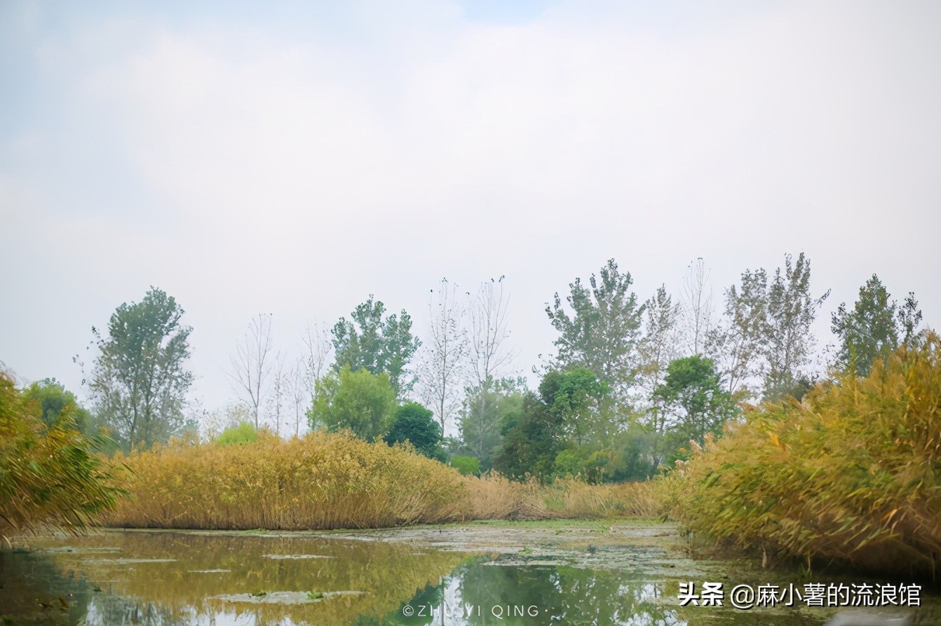 盐城著名湖,盐城第一湖