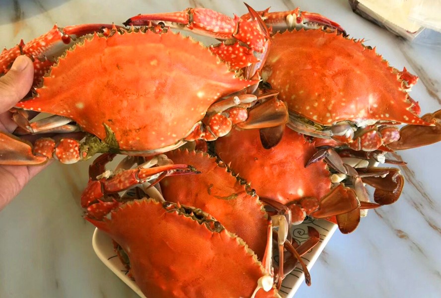 挑选梭子蟹的绝招小妙招,怎么挑梭子蟹新鲜