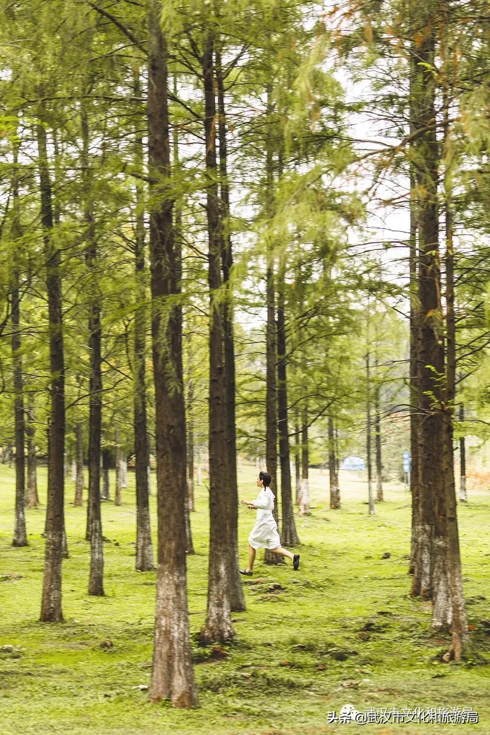 今天我想去玩英文怎么说,沌口适合带孩子去玩的地方