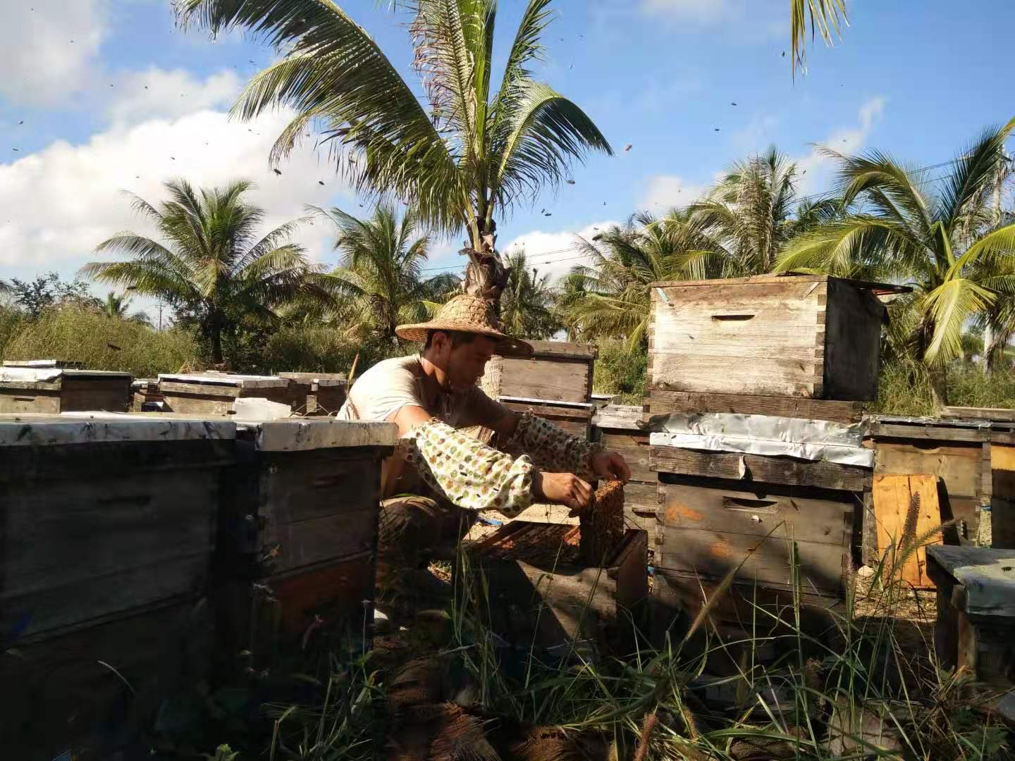 一瓶好蜂蜜，应该多少钱？