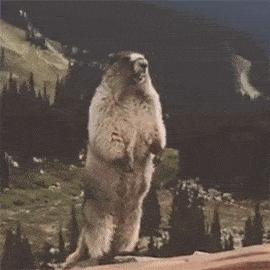 网页文字无法复制的解决办法,网页文字无法选中无法复制