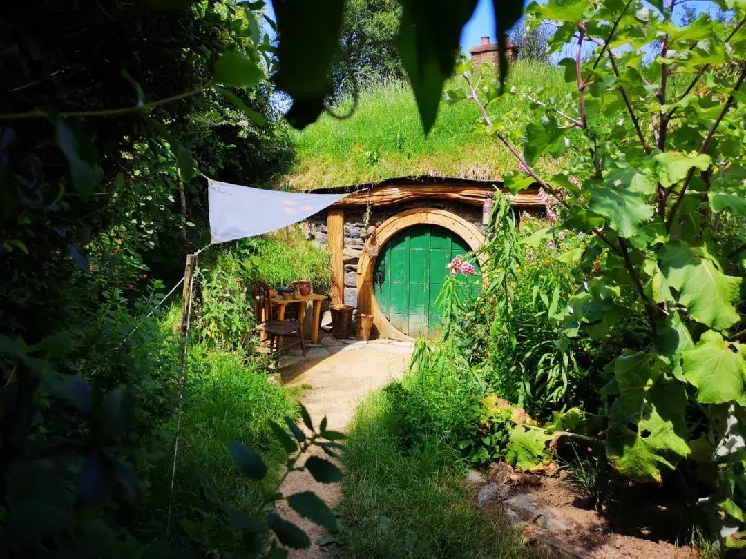 比国内油价还高三四块！这地方奔驰不如日系车受欢迎！