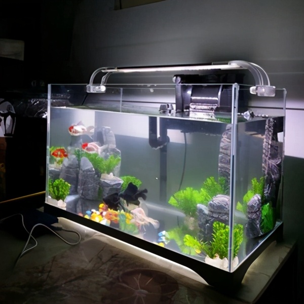 鱼缸玻璃尺寸应该怎么选,鱼缸底柜如何选择尺寸