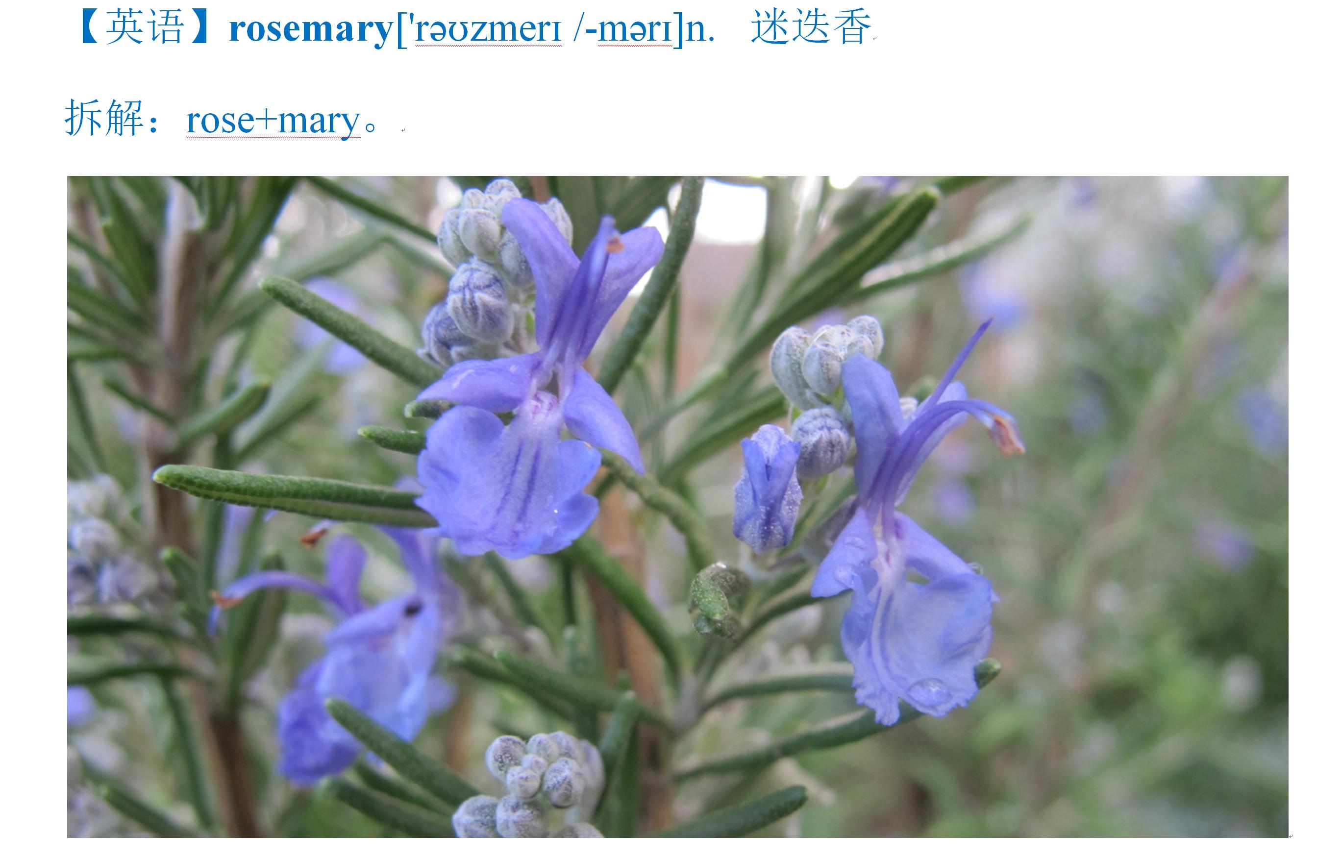 如何快速掌握汉语拼音正词法,汉语拼音快速掌握方法