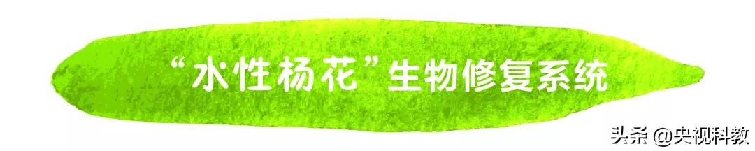 杩欐槸浣犳兂璞′腑鐨勬幢娴峰悧,浣犵湅鍒扮殑娲辨捣