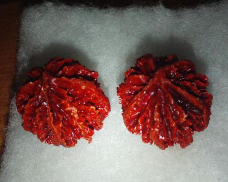 五天盘手持手串,盘五天的核桃