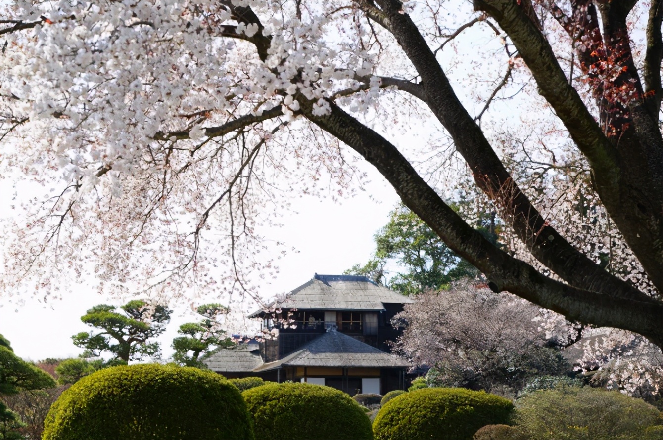 日本茨城观光之旅视频,从东京可以一日游去日本茨城玩