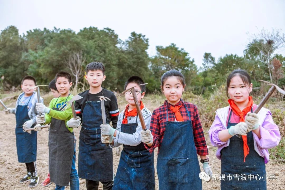 翻地、播种…无锡老小将课堂搬到了田间地头