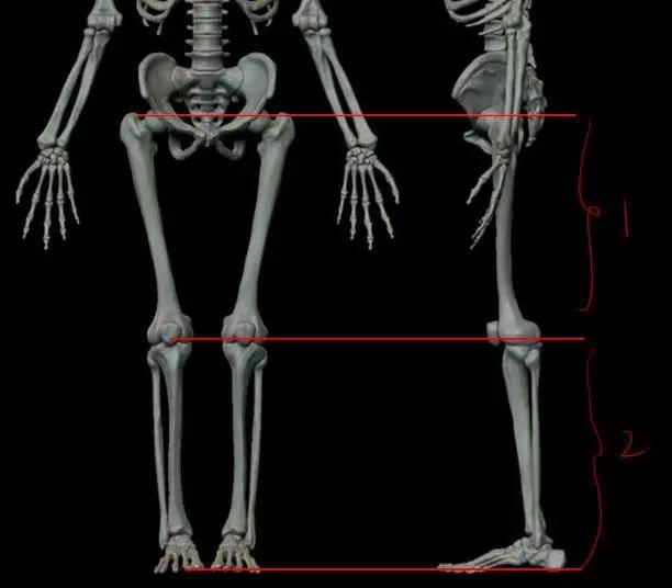 动漫人物的腿怎么画才好看,简单的动漫腿怎么画