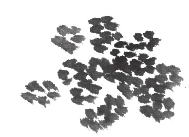 树画简单初学者教程,树画不好看了怎么改