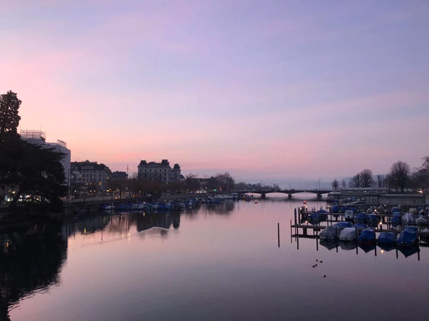 瑞士苏黎世博物馆大力神杯,苏黎世博物馆大力神杯