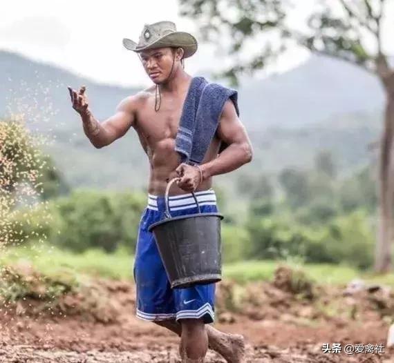 养鸡好挣钱吗,养鸡前景如何