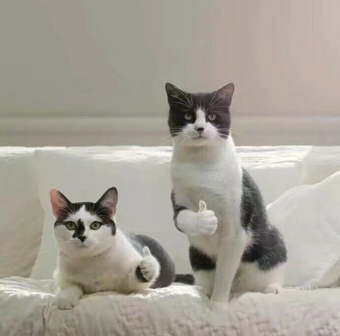 与海军的不解之缘:第一艘机器兵轮上海制造!