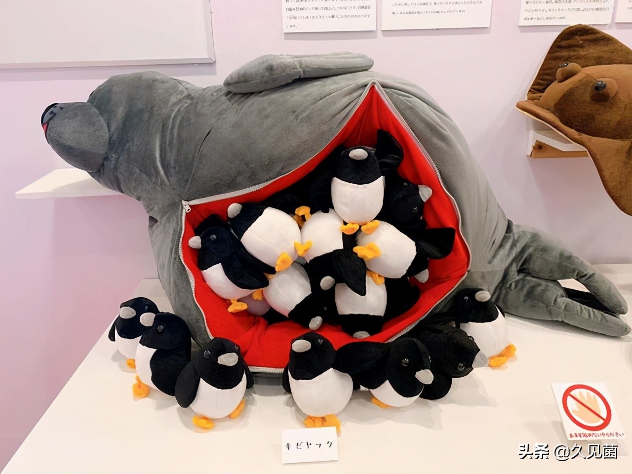 爱斯基摩人生吃北极熊,生食海豹