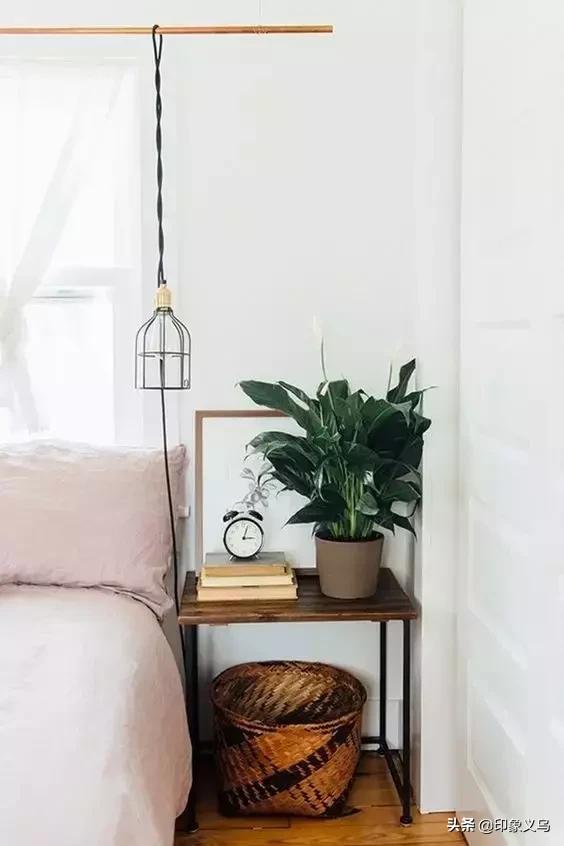 过期药片可以养什么花,用过期的药片能种花吗