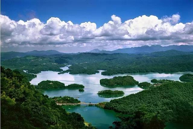 广州高性价比度假酒店,广州特价度假酒店