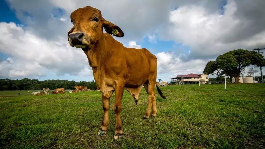 来这里认识世界全文,来这里认识世界完整版