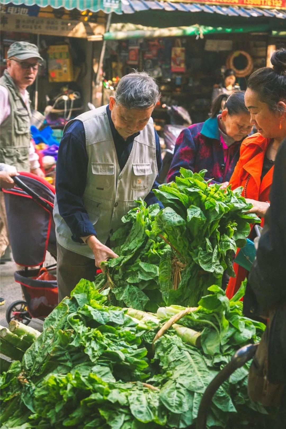 成都最有潜力的花园,成都是个大花园