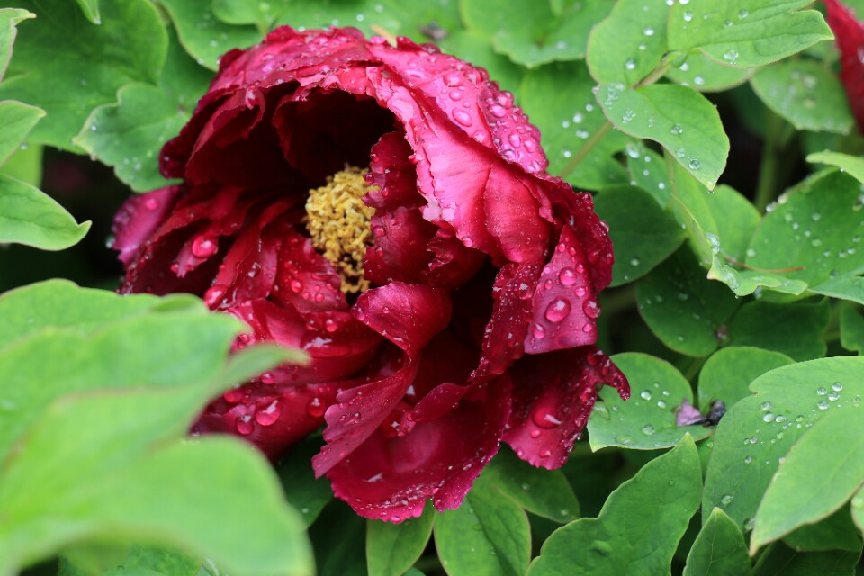 行走在路上寻找诗和远方,行走中有诗和远方