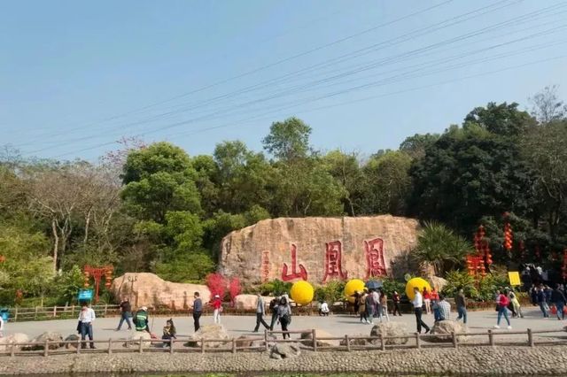 深圳爬山的好去处,深圳爬山地方推荐适合小朋友