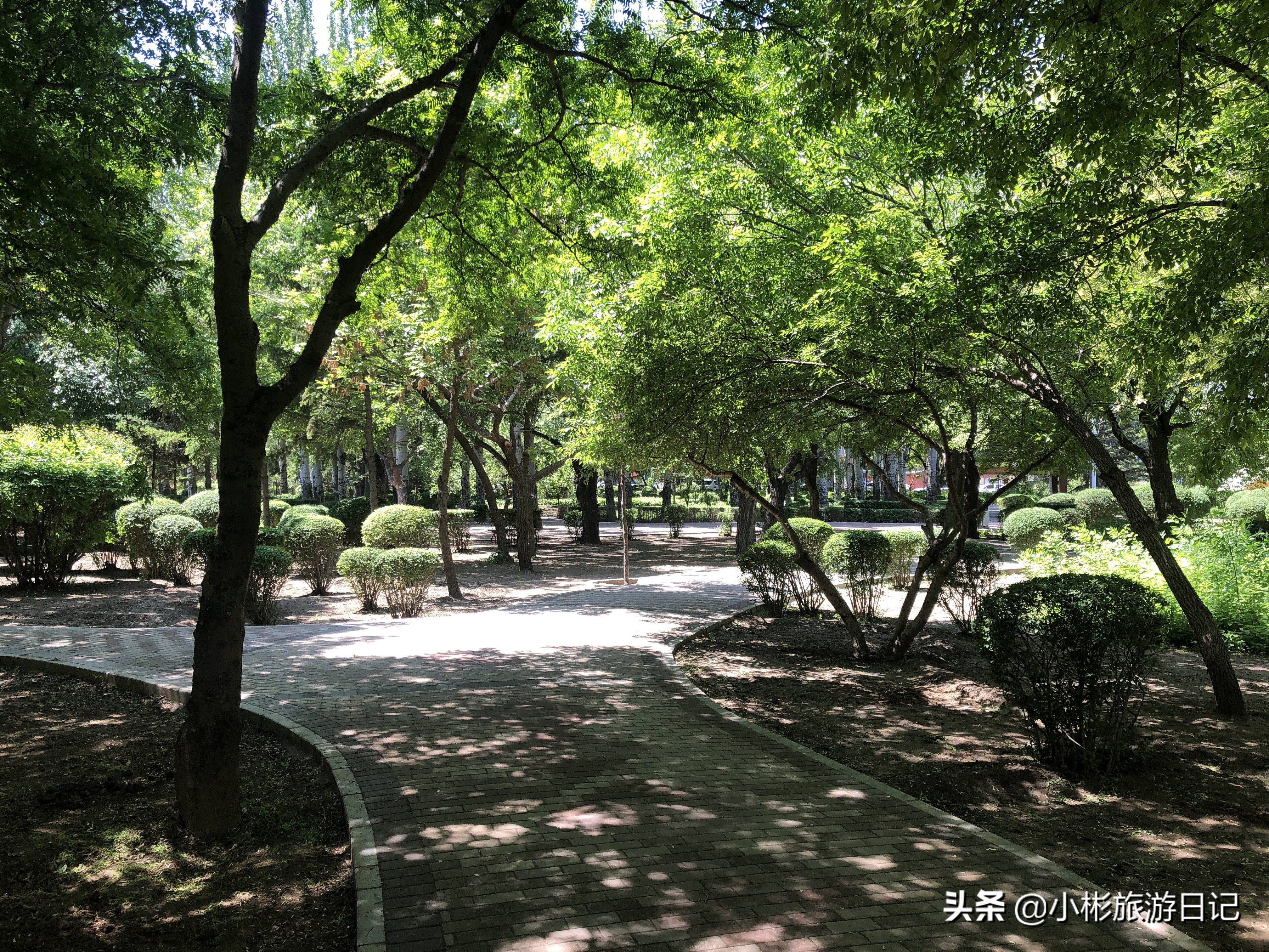 通辽休闲广场,通辽人民公园娱乐场所