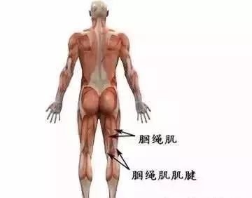 是不是伤筋动骨一百天就好,伤筋动骨100天是骨折完全好了吗