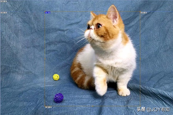 photoshop怎么移动切片,photoshop切片选择工具