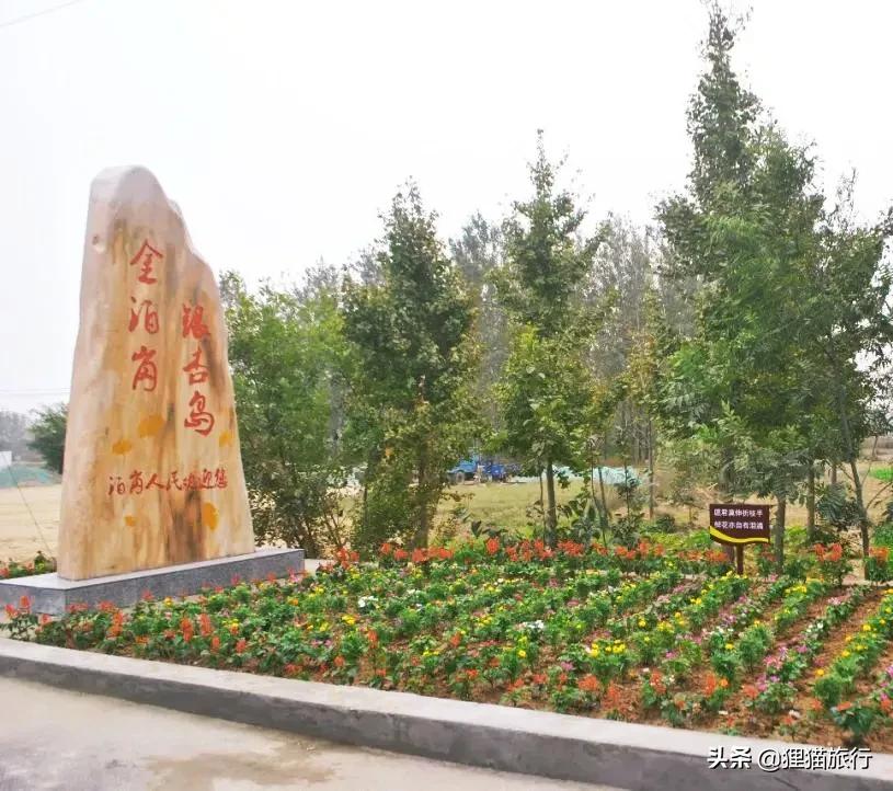 千里淮河第一镇,泊岗是安徽唯一的淮河岛乡吗