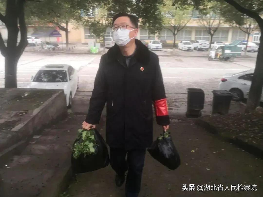 携手战疫，湖北公益诉讼检察人“勇”不缺席