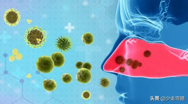 真菌感染和细菌感染是怎么引起的,白血病真菌是怎么带来的