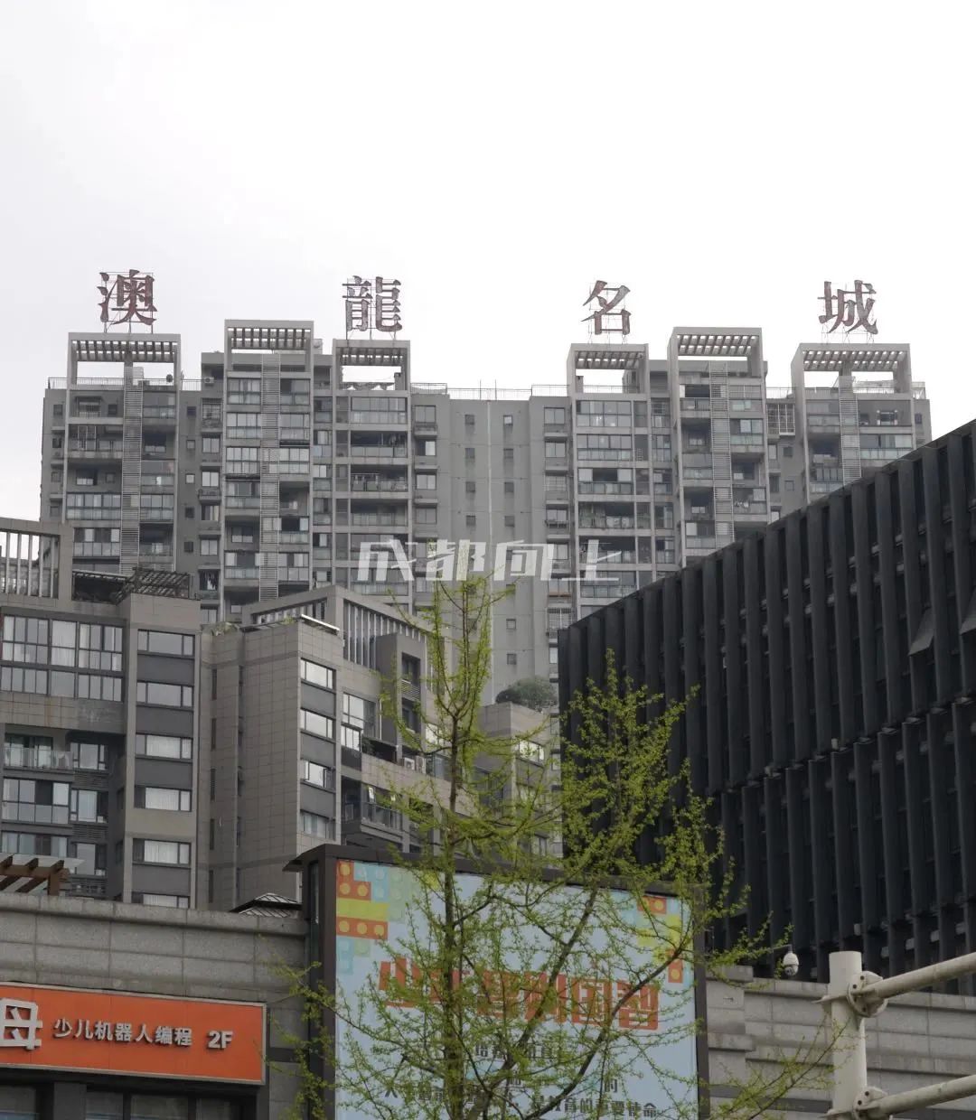 濡備綍鎶婃垚閮芥墦閫犳垚缃戠孩鍩庡競,鎬庢牱鎵嶅彲浠ヨ鎴愰兘鍙樻垚鍖椾含