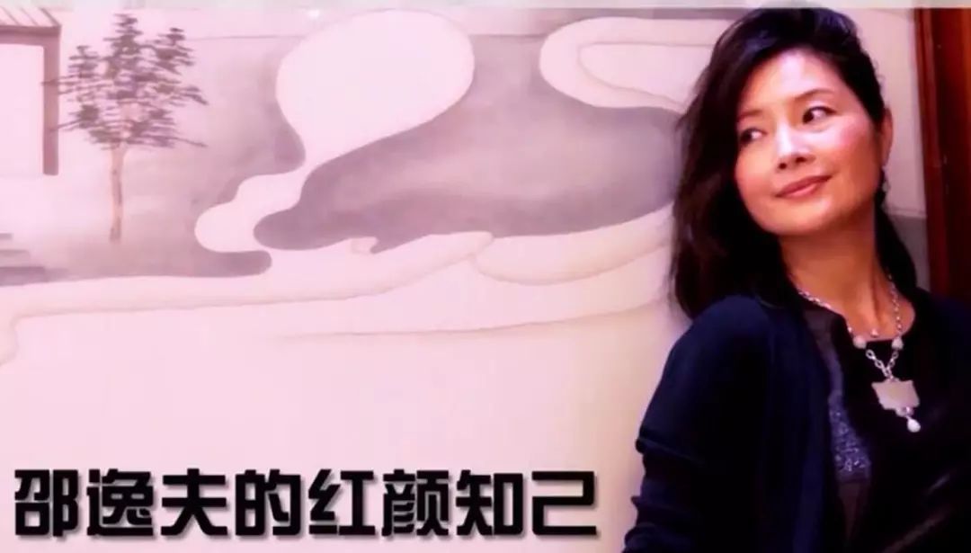 鉴证实录林皓月演员,鉴证实录小演员