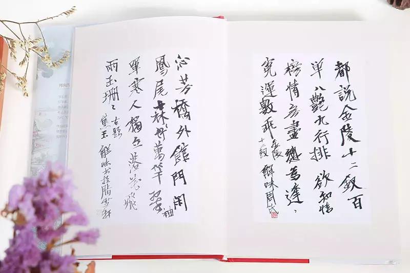 红楼梦解读最好的专家周汝昌,红楼梦周汝昌红学泰斗