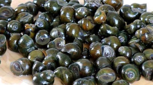 长大后才知道螺蛳粉的味道,小时候有一碗关于螺蛳粉的回忆